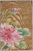 菊 (折皮描画)/Chrysanthemum (A Painting on the Bark of a Tree) image
