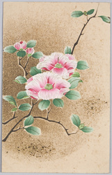 椿 / Camellia image