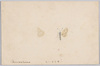 モンサラサ/Butterfly(Monsarasa) image