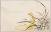 古狸 (すかし絵)/Old Raccoon Dog (Transparent Painting) image