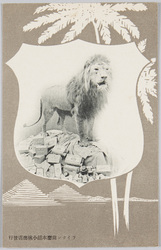 ライオン歯磨 / Lion Toothpowder image