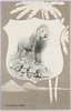 ライオン歯磨/Lion Toothpowder image
