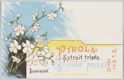 パイロラ香水 ライオン歯磨本舗小林商店特約 / Pyrola Perfume, Lion Toothpowder Dealer, Kobayashi Shōten image