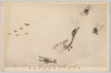 陸上機の壮快な空中戦闘/Spectacular Aerial Combat by Land-based Aircraft image