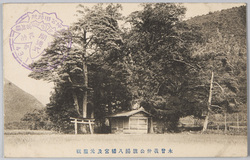 木曽義仲公旗揚八幡宮及元服槻 / Hataage Hachimangu Shrine Where Lord Kiso Yoshinaka Raised an Army against the Taira, and Japanese Zelkova Planted to Celebrate Yoshinaka's Coming-of-Age image
