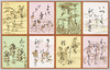 かるた/Karuta Game Cards image