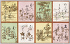 かるた/Karuta Game Cards image