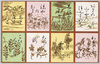 かるた/Karuta Game Cards image