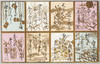 かるた/Karuta Game Cards image