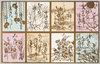 かるた/Karuta Game Cards image