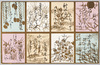 かるた/Karuta Game Cards image