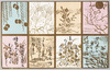 かるた/Karuta Game Cards image
