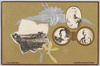 明治四十三年特別大演習記念/Commemoration of the Special Grand Maneuvers in 1910 image