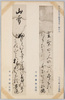 第一集の九　小沢蘆庵 (孤鴎)書　香川景樹 (景徳)書/Series 1-9 Calligraphy by Ozawa Roan (Koō), Calligraphy by Kagawa Kageki (Kagetoku) image