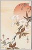 四季花木 (桜)/Flowers and Trees in Four Seasons (Cherry) image