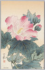 四季花木 (芙蓉)/Flowers and Trees in Four Seasons (Cotton Rose) image