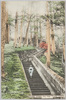 日光石段/Nikkō: Stone Steps image