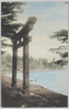 日光中禅寺湖畔/Nikkō: Shore of Lake Chūzenji image