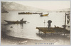 寿都港鰊大漁陸揚の景/View of Unloading a Huge Catch of Herring at Suttsu Port  image