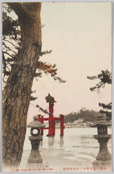安芸宮島松原ヨリ大鳥居遠望 / Miyajima, Aki: Distant View of the Otorii Gate from Matsubara (Sandy Beach Lined with Pine Trees) image