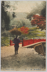 (京都名所)槙ノ尾 / (Famous Views of Kyoto) Makinoo image