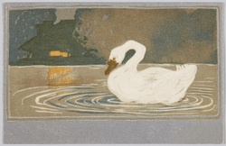 夜の白鳥 / Swan at Night image