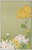 九月　きく/September: Chrysanthemums  image
