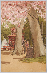 桜の下の男女 / Man and Woman under Cherry Trees image