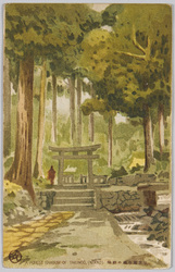 日光滝の尾の緑陰 / Forest Shade at the Takinoo Shrine, Nikkō image