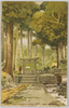 日光滝の尾の緑陰/Forest Shade at the Takinoo Shrine, Nikkō image