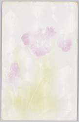 燕子花 (和紙型押) / Rabbit-Ear Iris (Embossed Japanese Paper) image