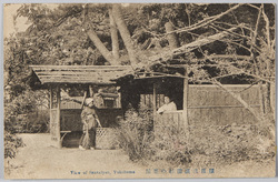 横浜三溪園杉の茶屋 / Sankeien Garden, Yokohama: Sugi no Chaya Teahouse image