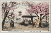 横浜伊勢山の桜花/Cherry Blossoms at the Mt. Ise, Yokohama image