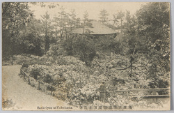 横浜三溪園躑躅及東慶寺 / Sankeien Garden, Yokohama: Azaleas and Tōkeiji Temple image