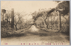 二月二十七日 観梅行 三 水戸公園ノ梅林1 / February 27th, Plum-Blossom Viewing 3, Plum Grove at Mito Park 1 image