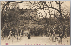 東京ノ梅 一 九段靖国神社ノ梅 / Plum Blossoms in Tokyo 1: Plum Blossoms in the Yasukuni Shrine, Kudan image
