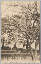 東京ノ梅 四 芝公園丸山ノ梅 / Plum Blossoms in Tokyo 4: Plum Blossoms at the Foot of the Maruyama Burial Mound in Shiba Park image