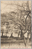 東京ノ梅　四　芝公園丸山ノ梅/Plum Blossoms in Tokyo 4: Plum Blossoms at the Foot of the Maruyama Burial Mound in Shiba Park image
