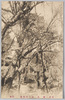 東京ノ梅　九　木下川梅園/Plum Blossoms in Tokyo 9: Kinegawa Plum Garden image