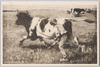 「駆牛　ヂュル・ヂュプレー氏」　/The Cow Escape by Mr. Julien Dupré image