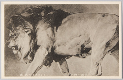 「出洞ノ獅子 ランドヌイル氏 (英)」 / Lion Coming Out of a Cave by Sir Landseer (Britain) image