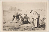 「拾穂　ミレー氏 (仏)」/Gleaners by Mr. Millet (France) image