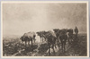 「牛群の帰　ヴァルフロワー筆」/Return of a Herd of Cattle by Valflowr  image