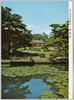 明治神宮御苑 隔雲亭/Meijijingū Inner Garden: Kakuuntei (Imperial Rest House) image