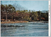 明治神宮御苑 南池/Meijijingū Inner Garden: South Pond image
