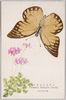 マダランロテフ　Prioneris thestylis Doubl./Madaran Rochō (Prioneris Thestylis Doubl.) image