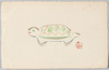 亀/Turtle image