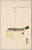 河豚提灯/Fugu (Pufferfish) Lantern image