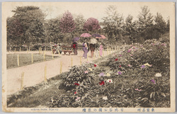 日比谷公園の花壇 / Flower Bed in Hibiya Park image