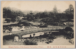 小石川植物園 庭園 / Botanic Gardens of Imperial University of Tokyo(Koishikawa Botanical Garden) image